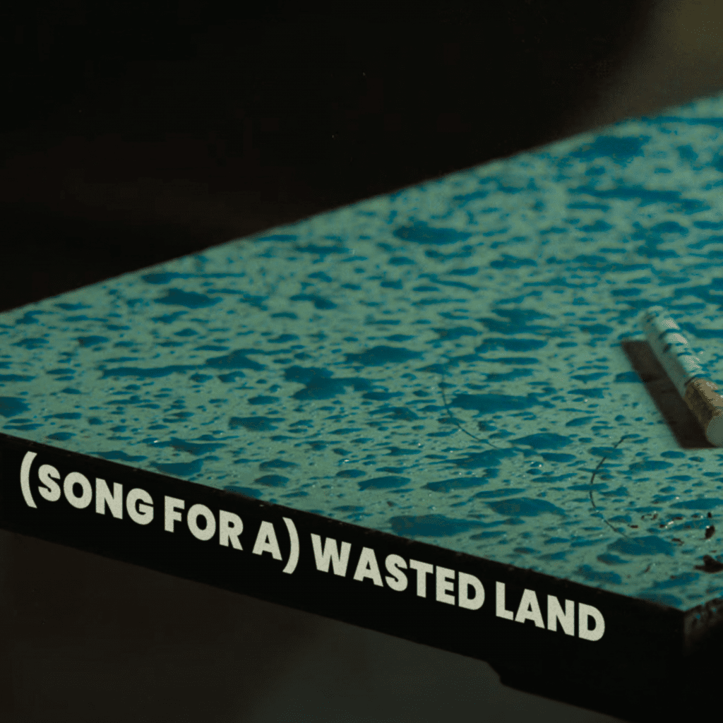 (Song For A) Wasted Land – You Said Strange artwork